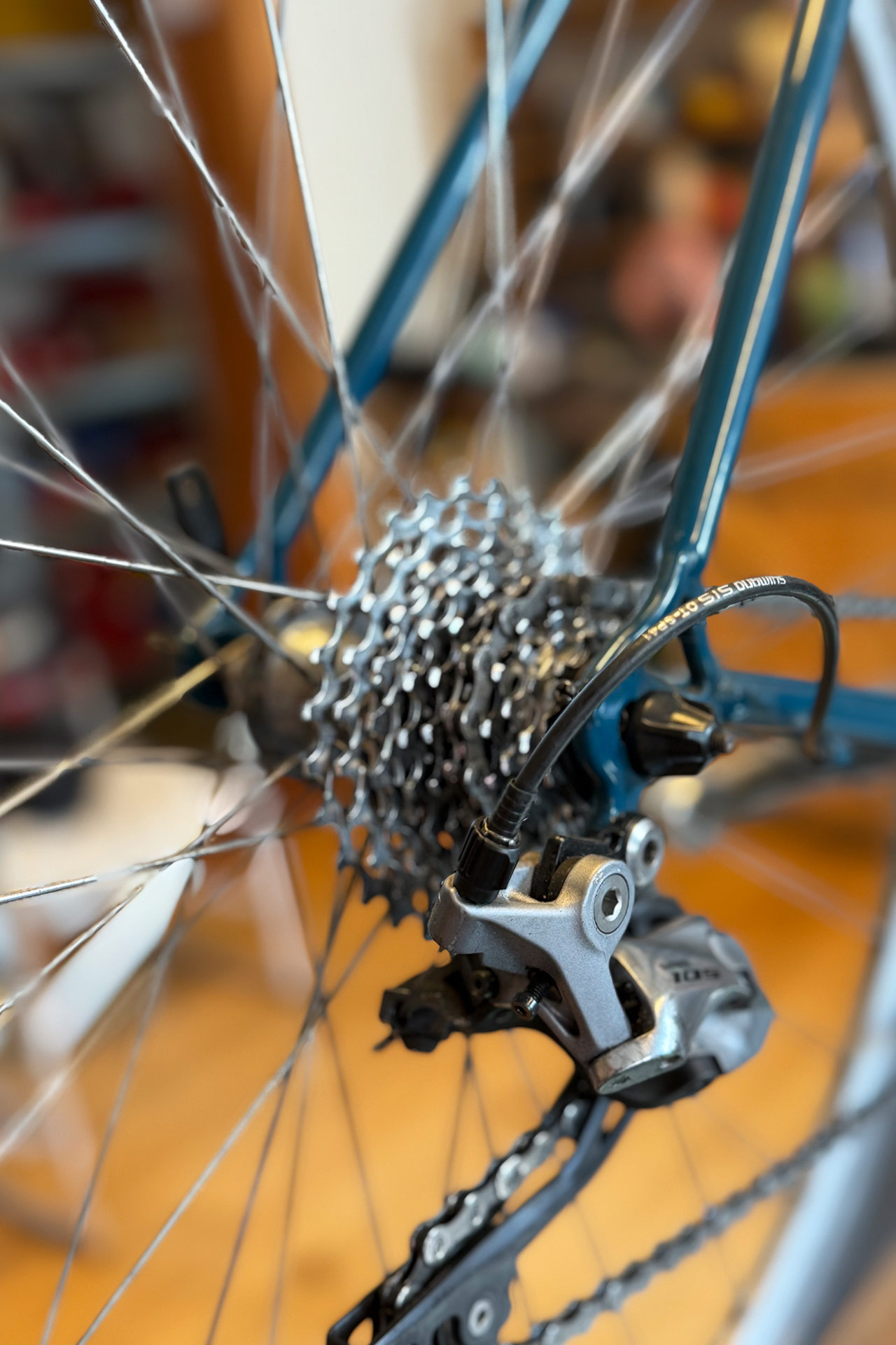 BIKEdog Fahrradladen - Fachgeschäft für Zweiräder in Brandenburg, Rad, Speichen, Schaltung